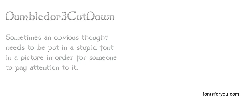 Review of the Dumbledor3CutDown Font