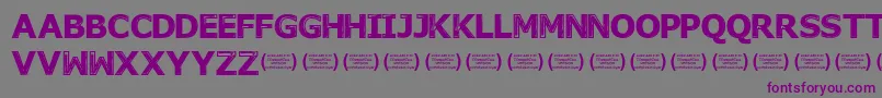 NovembermorningsRegular-Schriftart – Violette Schriften auf grauem Hintergrund