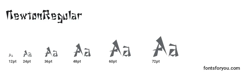 NewtonRegular Font Sizes