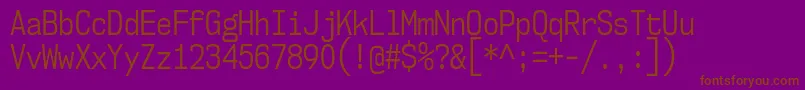 Nk57MonospaceCdBk Font – Brown Fonts on Purple Background