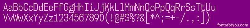 Nk57MonospaceCdBk Font – Pink Fonts on Purple Background