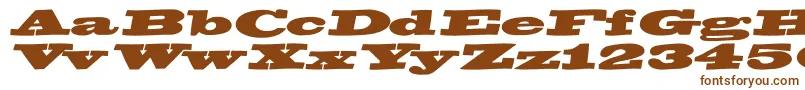 BigswingingslabsItalic Font – Brown Fonts on White Background