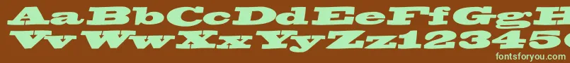 BigswingingslabsItalic Font – Green Fonts on Brown Background