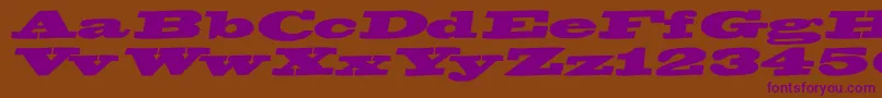 BigswingingslabsItalic-Schriftart – Violette Schriften auf braunem Hintergrund