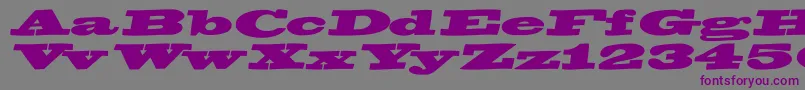 BigswingingslabsItalic-fontti – violetit fontit harmaalla taustalla