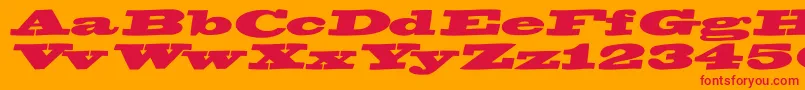 BigswingingslabsItalic Font – Red Fonts on Orange Background