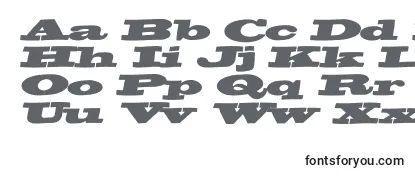BigswingingslabsItalic Font