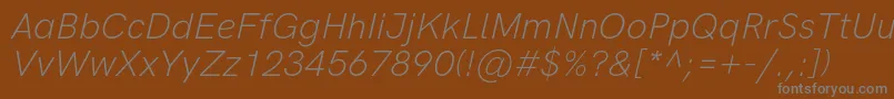 フォントHkgroteskLightitalic – 茶色の背景に灰色の文字