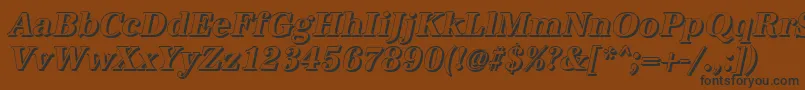 AntiquashCdBolditalic Font – Black Fonts on Brown Background