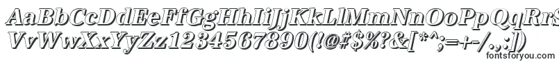 AntiquashCdBolditalic Font – Business Fonts