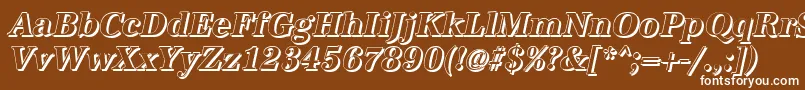 AntiquashCdBolditalic Font – White Fonts on Brown Background