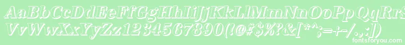 AntiquashCdBolditalic Font – White Fonts on Green Background