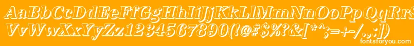 AntiquashCdBolditalic Font – White Fonts on Orange Background
