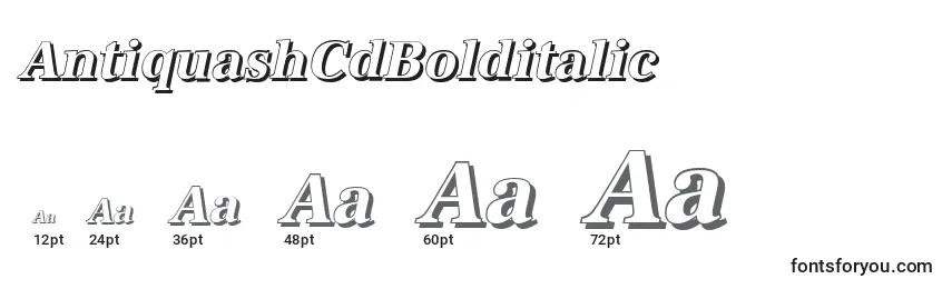 AntiquashCdBolditalic Font Sizes
