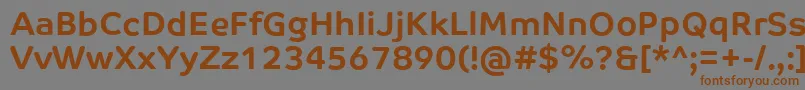 Czcionka CoTextCorpBold – brązowe czcionki na szarym tle
