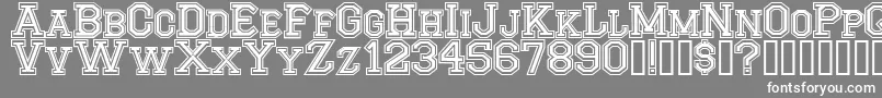 CfmontrealhighschoolRegular Font – White Fonts on Gray Background