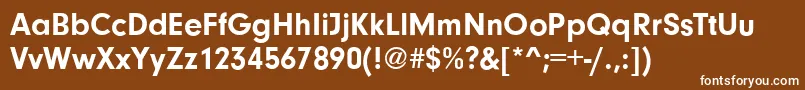 NeutralgroteskBoldフォントについての詳細 フォントNeutralgroteskBold – 茶色の背景に白い文字