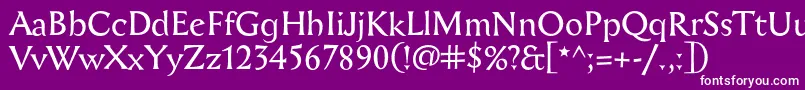 Aichel Font – White Fonts on Purple Background