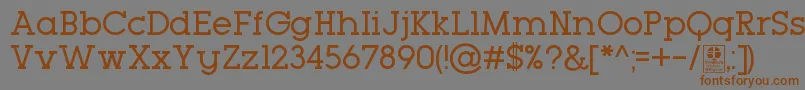 TypoGeoslabRegularDemo Font – Brown Fonts on Gray Background