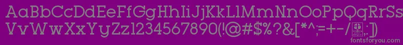 TypoGeoslabRegularDemo Font – Gray Fonts on Purple Background