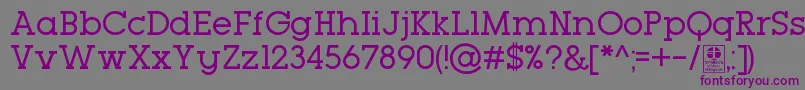 Шрифт TypoGeoslabRegularDemo – фиолетовые шрифты на сером фоне