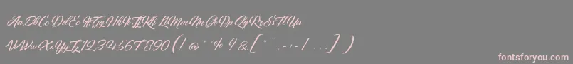 QuantumOfMechanic-Schriftart – Rosa Schriften auf grauem Hintergrund