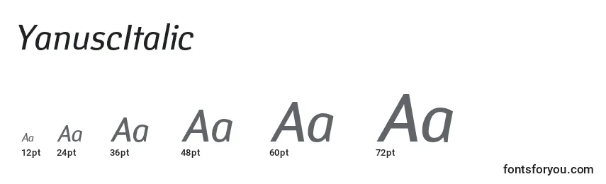 Размеры шрифта YanuscItalic