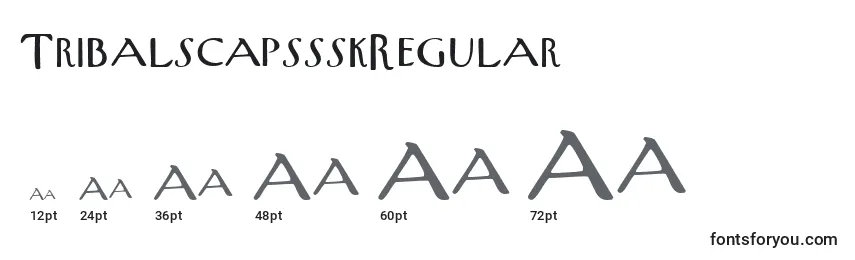 Размеры шрифта TribalscapssskRegular
