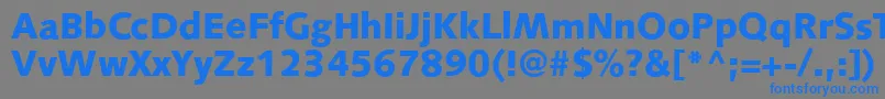 S841SansBlackRegular Font – Blue Fonts on Gray Background