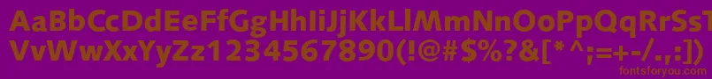 S841SansBlackRegular Font – Brown Fonts on Purple Background