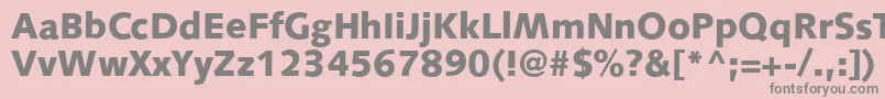 S841SansBlackRegular-Schriftart – Graue Schriften auf rosa Hintergrund