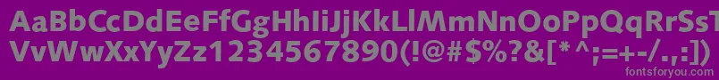 Czcionka S841SansBlackRegular – szare czcionki na fioletowym tle