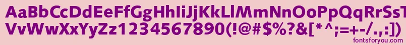 S841SansBlackRegular Font – Purple Fonts on Pink Background