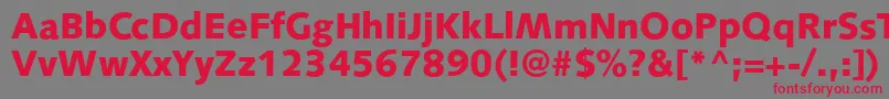 S841SansBlackRegular Font – Red Fonts on Gray Background