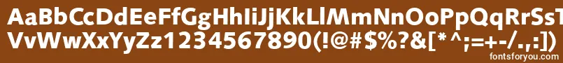 S841SansBlackRegular Font – White Fonts on Brown Background