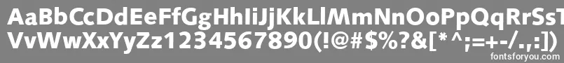 S841SansBlackRegular-fontti – valkoiset fontit harmaalla taustalla
