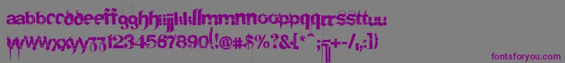 Frakturika Font – Purple Fonts on Gray Background