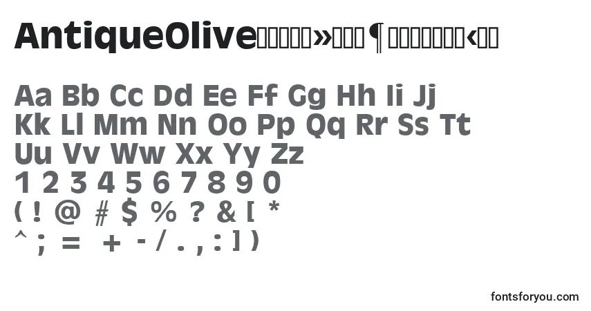 AntiqueOliveРџРѕР»СѓР¶РёСЂРЅС‹Р№ Font – alphabet, numbers, special characters