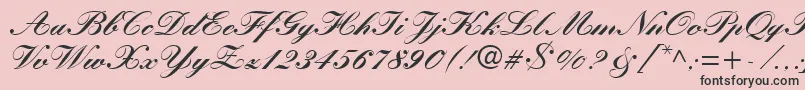 KuenstlerScriptLtBlack Font – Black Fonts on Pink Background