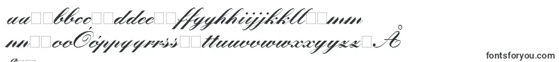 KuenstlerScriptLtBlack Font – Polish Fonts