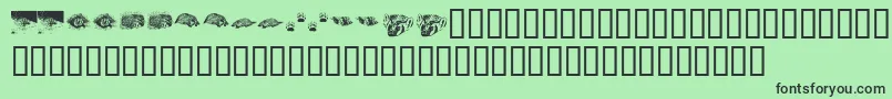 fuente KrCrystalsBadgers – Fuentes Negras Sobre Fondo Verde