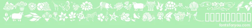 GeElementsOfNatureIi Font – White Fonts on Green Background