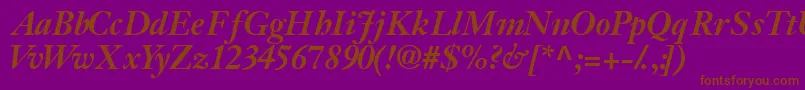 Jansonssk ffy Font – Brown Fonts on Purple Background