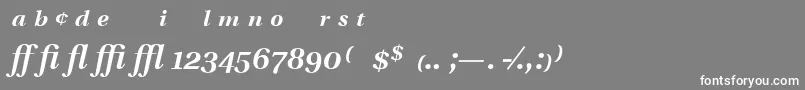 UtopiaExpertSemiboldItalic Font – White Fonts on Gray Background