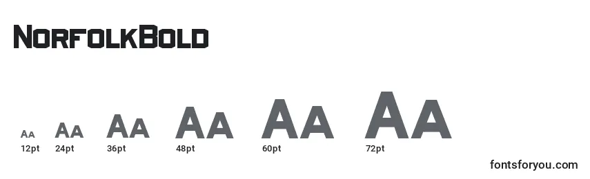 NorfolkBold Font Sizes
