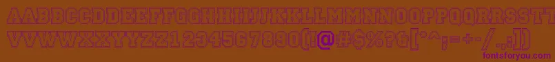 Campu13 Font – Purple Fonts on Brown Background