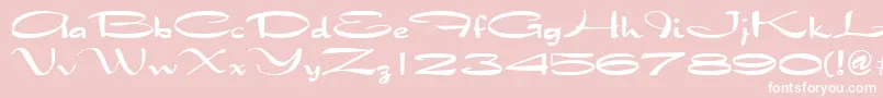 QtarabianRegular-Schriftart – Weiße Schriften auf rosa Hintergrund