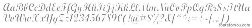 Подробнее о шрифте WrexhamScriptLight Шрифт WrexhamScriptLight – серые шрифты