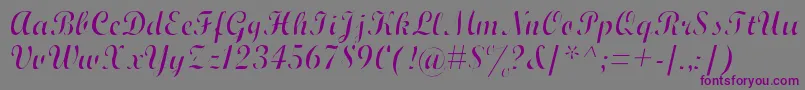 WrexhamScriptLight Font – Purple Fonts on Gray Background