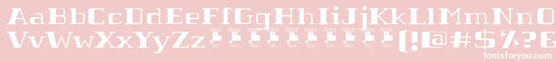 TabaibaWildPersonalUse Font – White Fonts on Pink Background